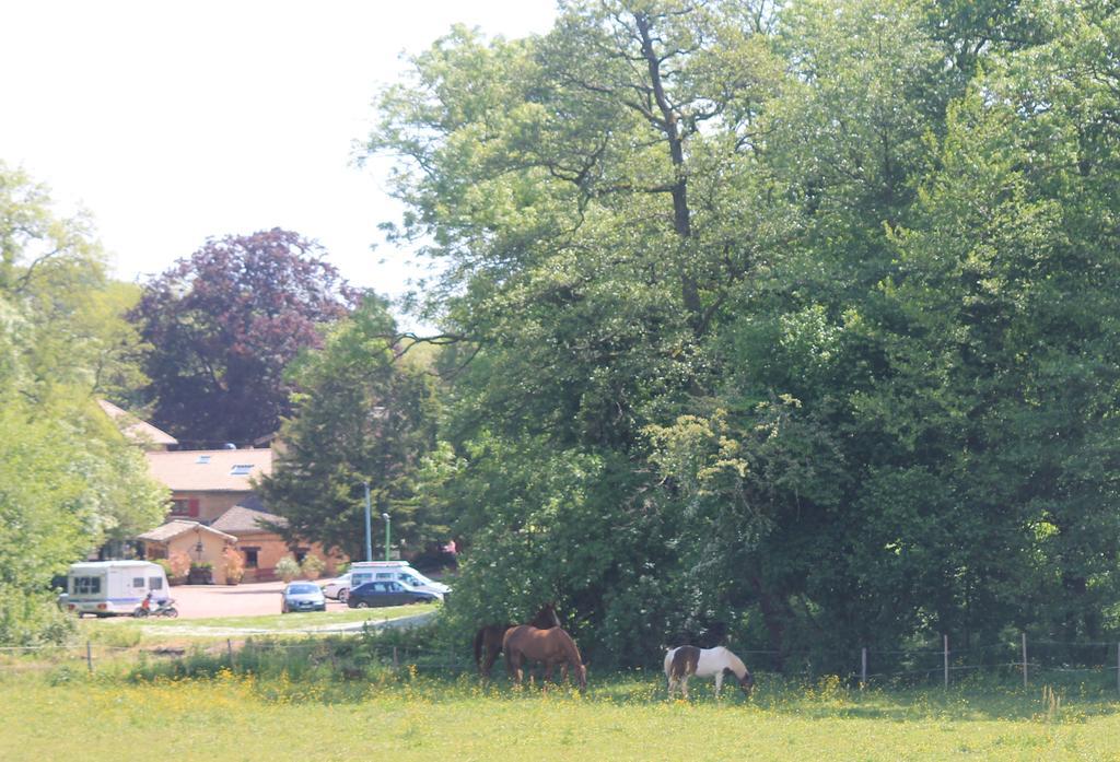 Hotel Restaurant Le Moulin De Saint Verand Bagian luar foto