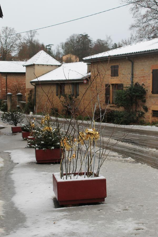 Hotel Restaurant Le Moulin De Saint Verand Bagian luar foto